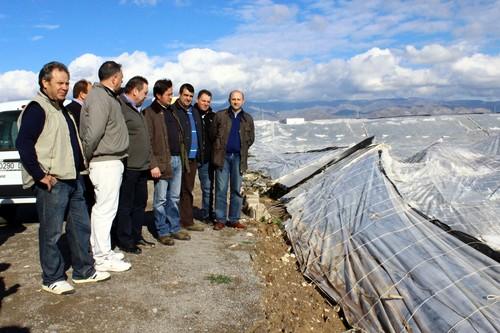 Más de un centenar de hectáreas afectadas por la tormenta de granizo de enero en San Agustín se beneficiarán de la subvención del IBI rústico