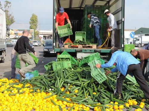 COAG-Almería tacha de “irresponsables” a las comercializadoras respecto a la crisis de precios