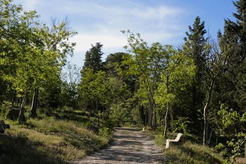 El PSOE de Berja pide al Ayuntamiento que reabra el restaurante de Castala, cerrado desde hace años