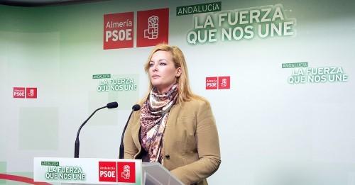 El PSOE pide crear una Comisión de Control que garantice la ejecución de las mociones aprobadas en pleno