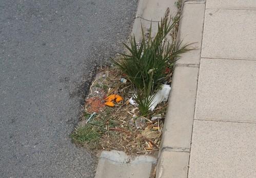 El PP de Dalías critica el estado de los imbornales del municipio