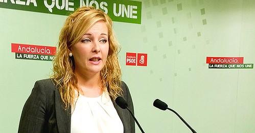 El PSOE de Adra se ve “obligado” a no respaldar los presupuestos porque “sólo recogen la mala gestión del PP en estos años