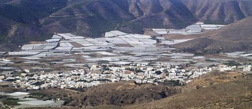 El PP de Dalías asegura que no autorizó ningún gasto en cenas y regalos