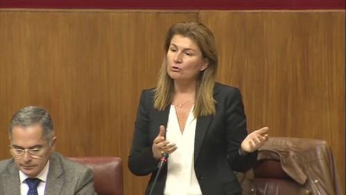 Espinosa denuncia “falta de transparencia” en la gestión de la Agencia Pública Sanitaria Hospital de Poniente