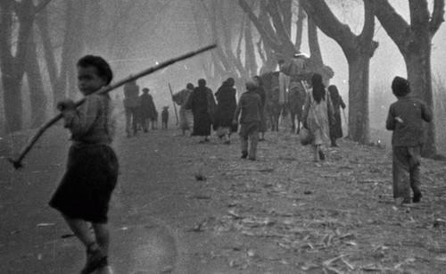 La exposición 'La huella solidaria' visita en abril el Teatro Auditorio Ciudad de Vícar