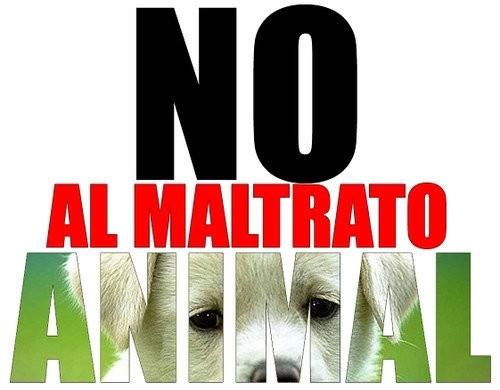 Plataforma abderitana propone habilitar un Teléfono Municipal contra el Maltrato y Abandono Animal
