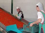 El paro registrado en el mes de marzo se sitúa en 70.025 personas en la provincia de Almería