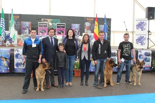 El Ejido congregará este fin de semana a perros de distintos países europeos en el 'IV Exposición Canina Internacional'