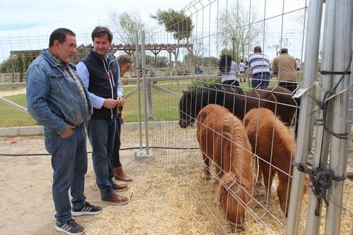 Finaliza con gran éxito la IV Feria del Ganado con la exhibición de más de medio centenar de distintas especies animales y reses autóctonas