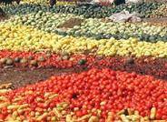 Agricultura de Adra informa que la Junta no autorizará la quema de residuos agrícolas a partir del 1 de mayo