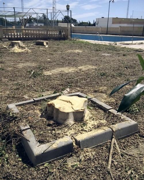 El Partido Popular de La Mojonera denuncia el estado de la jardinería del municipio