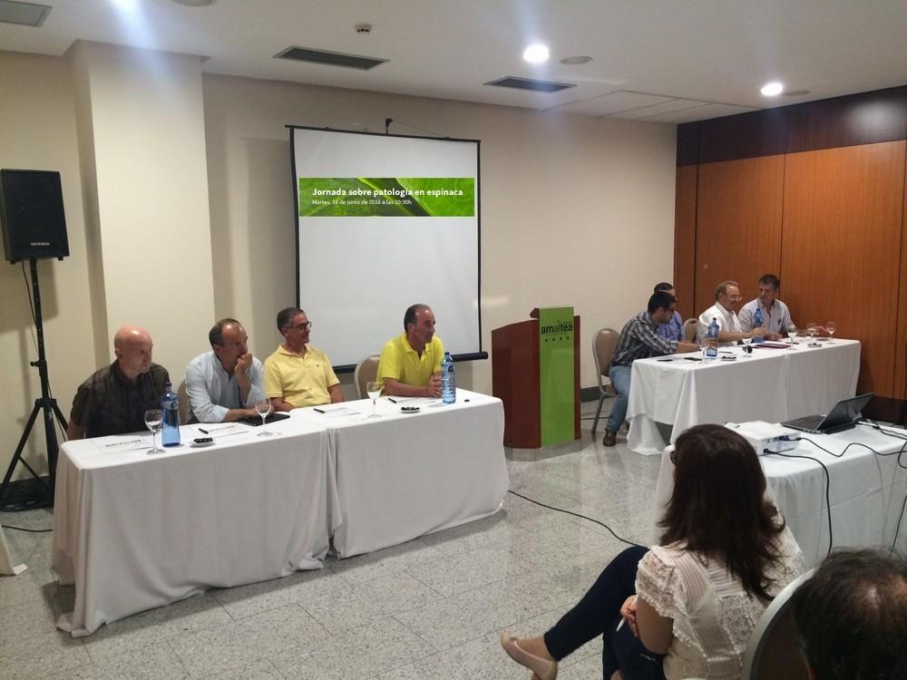 Rijk Zwaan reúne a todo el sector productivo de espinaca para tratar la sostenibilidad de la producción en la lucha contra el mildiu