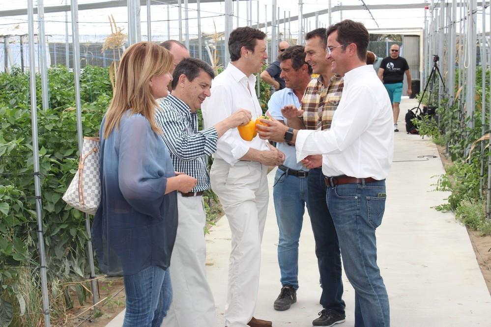 Góngora aporta las diez razones en materia agrícola por las que votar al PP