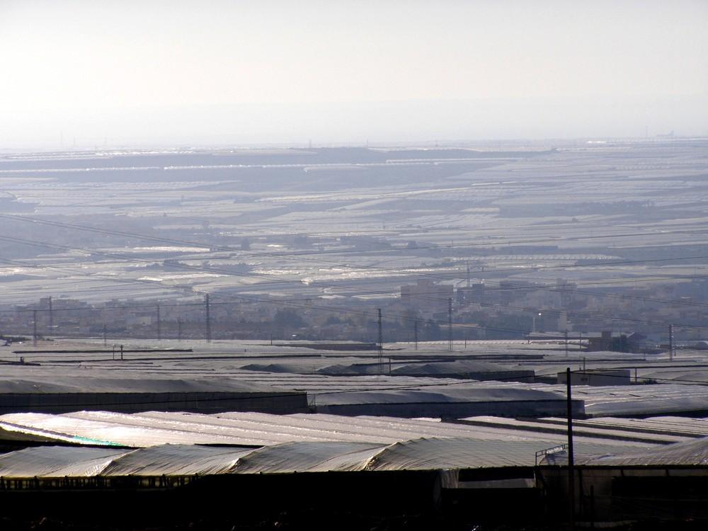 La Junta modifica el Impuesto de Sucesiones y eximirá a la mayoría de los agricultores herederos de su pago