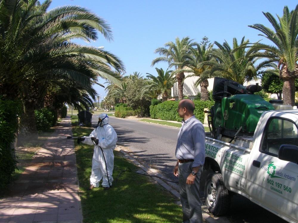 El Ejido intensifica la lucha contra los mosquitos adjudicando el servicio a otra empresa