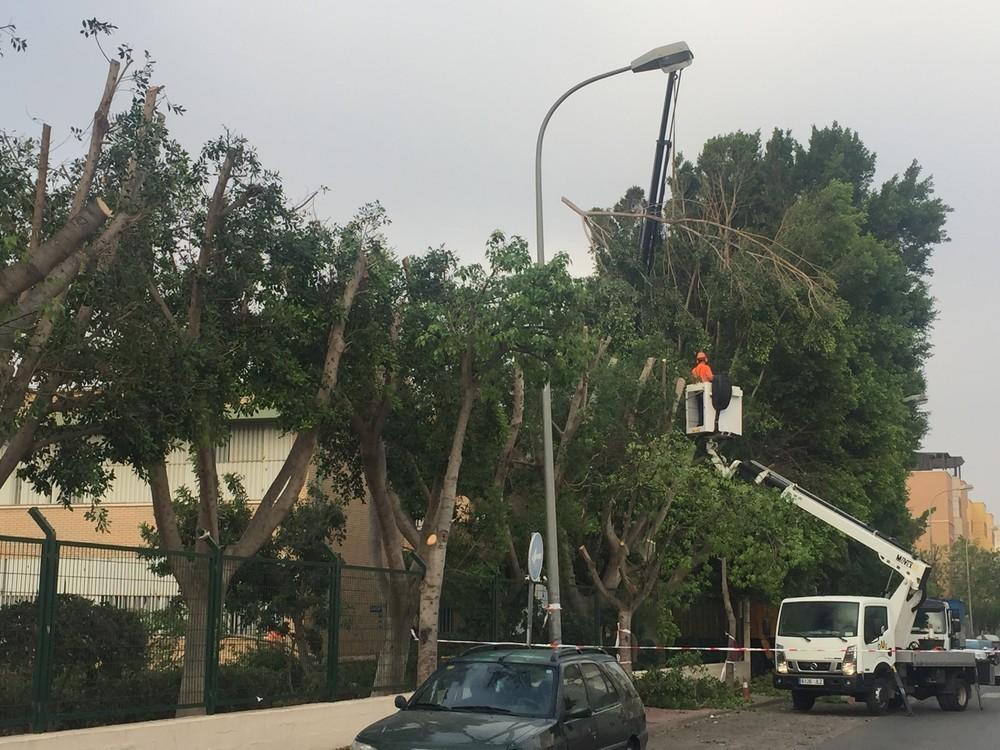 Obras Públicas aprovecha el verano para acondicionar los centros educativos del municipio de cara al comienzo del curso