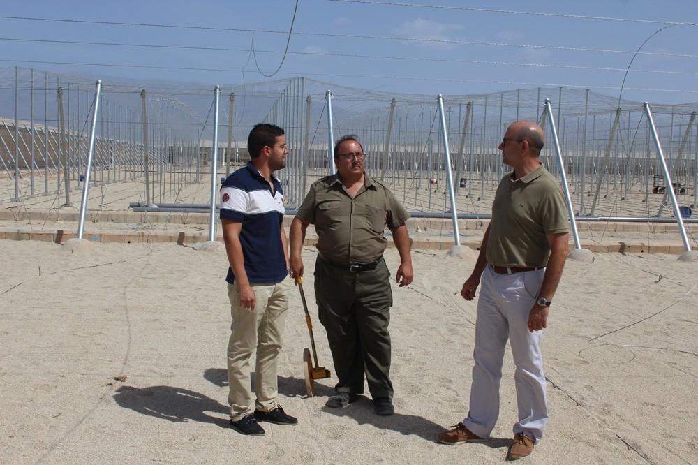 El Consistorio ejidense intensifica los controles de vigilancia en el campo para que se respeten la normativa de ordenación y recogida de pluviales