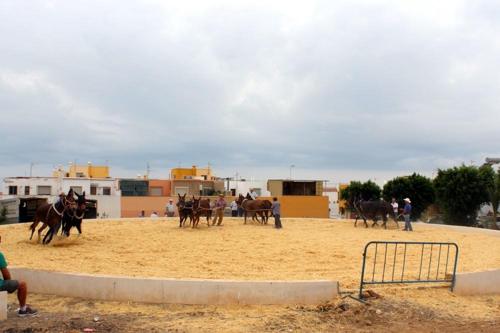 El Ayuntamiento inicia obras de mejora y remodelación de la Plaza La Era para consolidarla como un espacio de ocio y esparcimiento vecinal