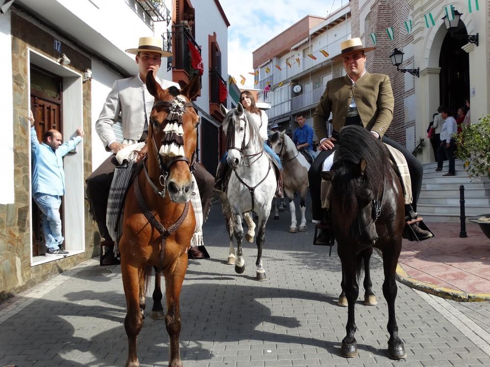 Ayuntamiento abre un registro de equinos para participar en el desfile de carrozas de Feria