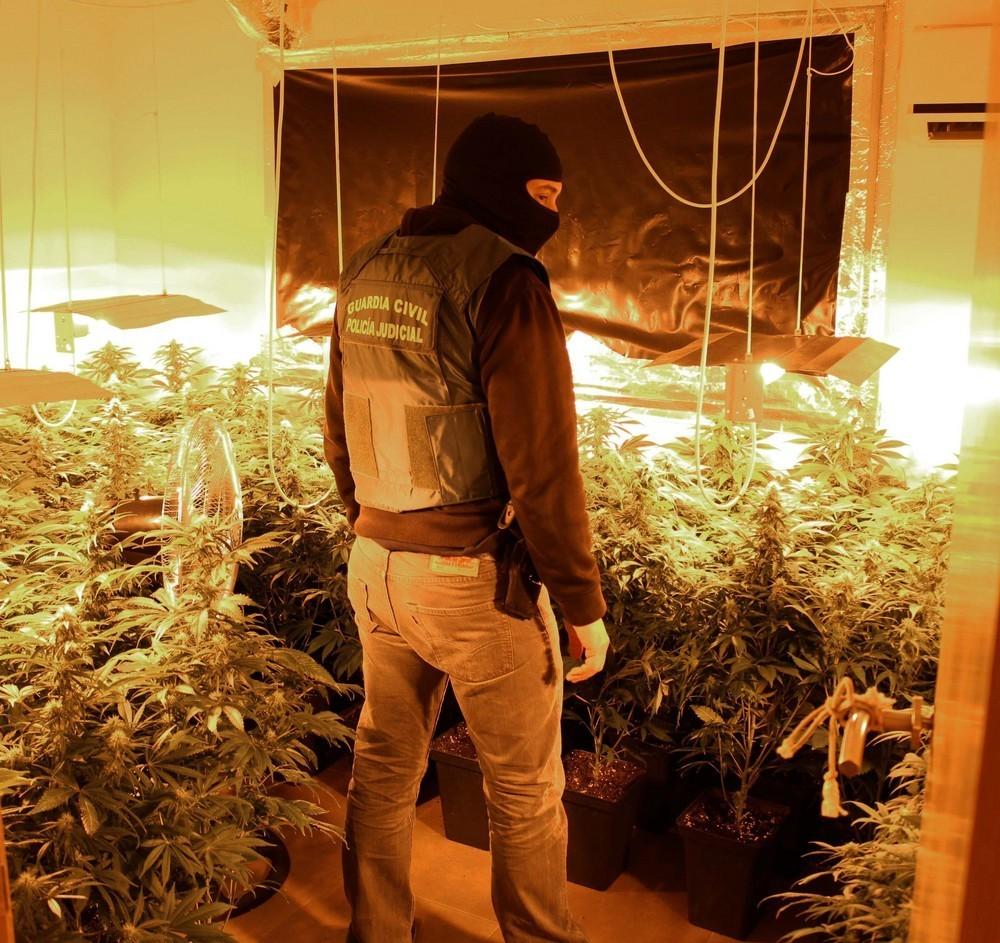 La Guardia Civil se incauta de más de 1.900 plantas y 20 kilos de marihuana y detiene a 10 personas en Almería