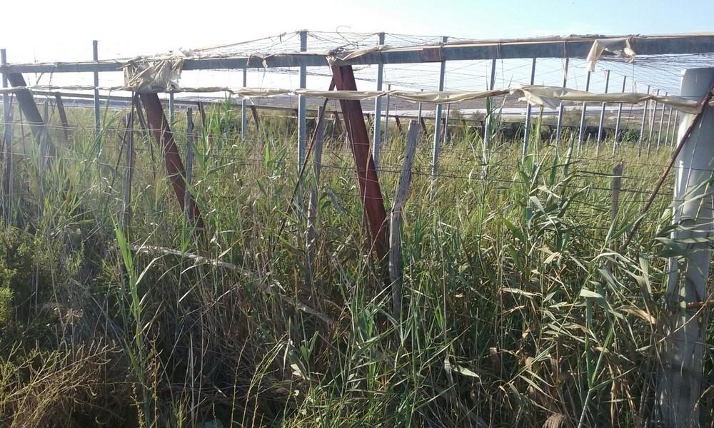 La Balsa del Sapo experimenta una subida en los últimos meses llegando a niveles de 2013 antes de la entrada en marcha del último bombeo