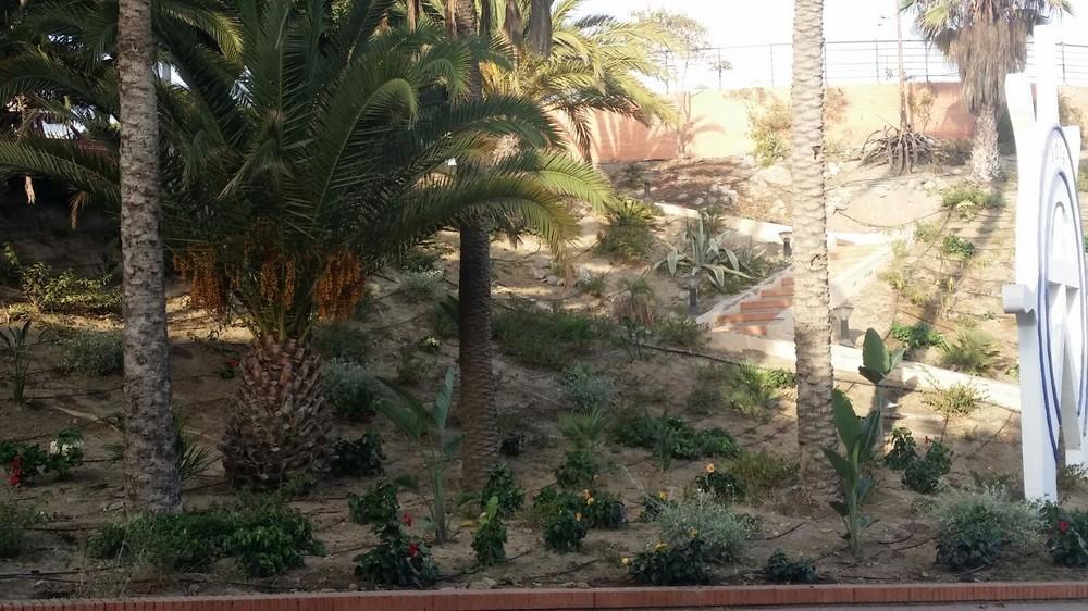 El Ayuntamiento de Adra pone en marcha un plan especial de limpieza y embellecimiento previo a la Feria 2016