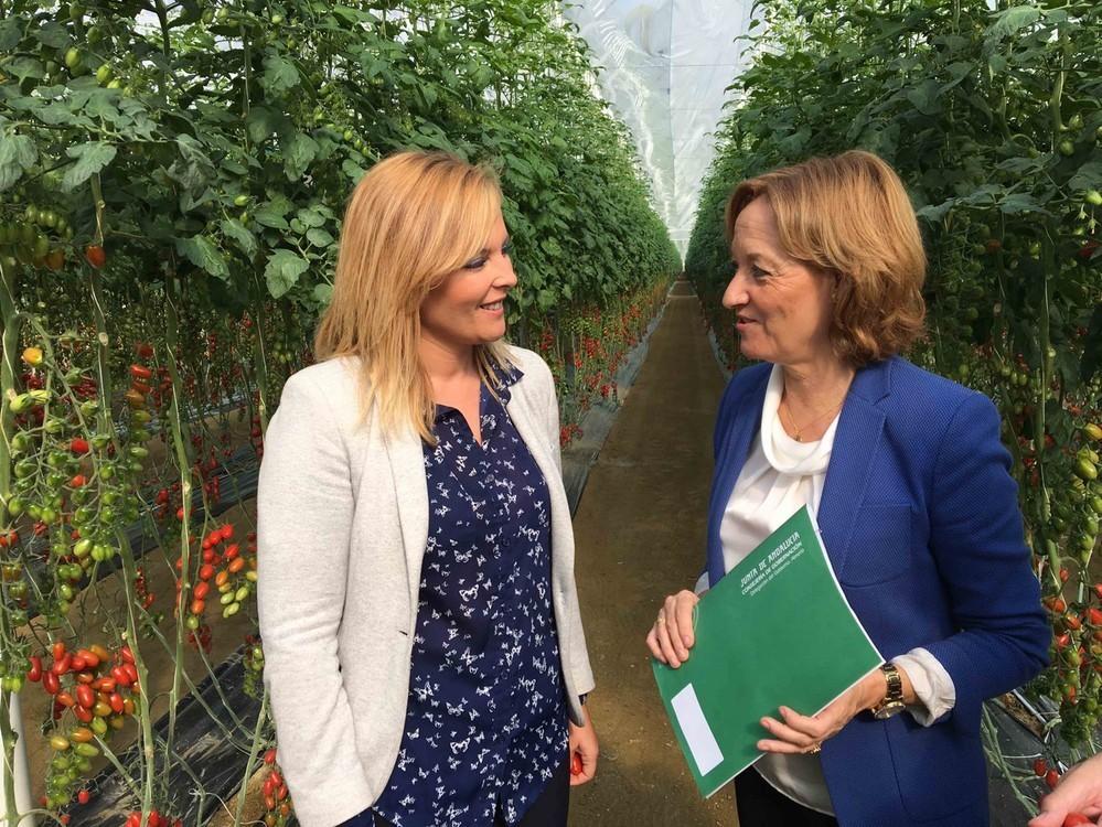 El PSOE celebra que la Junta publique las ayudas para restaurar las zonas agrícolas dañadas por las lluvias