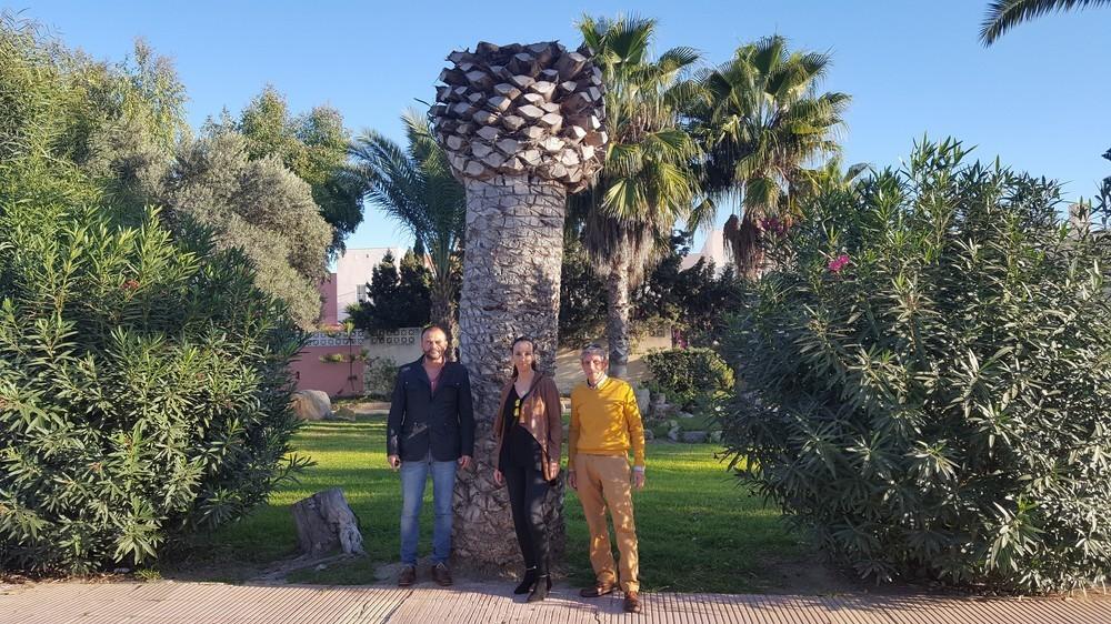 El PSOE de Almerimar pide que se revise la lucha contra el picudo de las palmeras