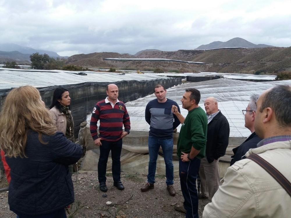 C's Adra considera injusto el baremo utilizado por la Junta de Andalucía para otorgar las ayudas a los agricultores afectados por las riadas de 2015