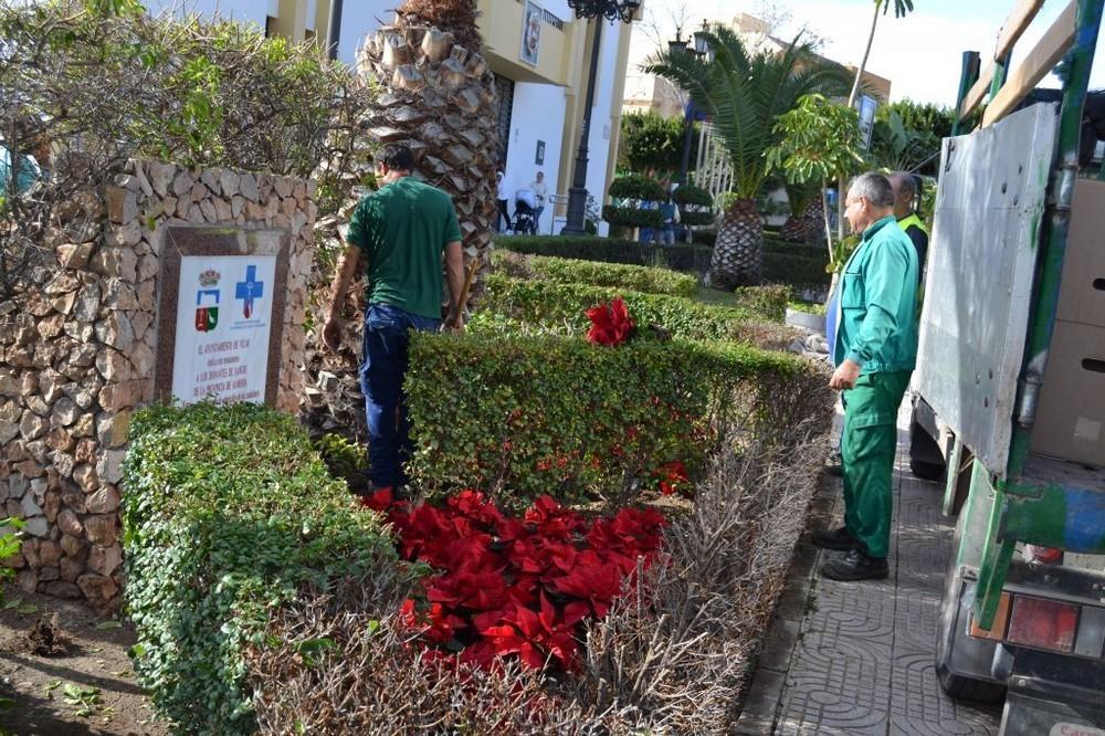 Vícar decora sus bulevares y zonas verdes de cara a la Navidad con 1.600 pascueros