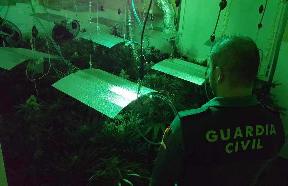 Detienen a un vecino de Almería al incautar en su domicilio 88 plantas de marihuana