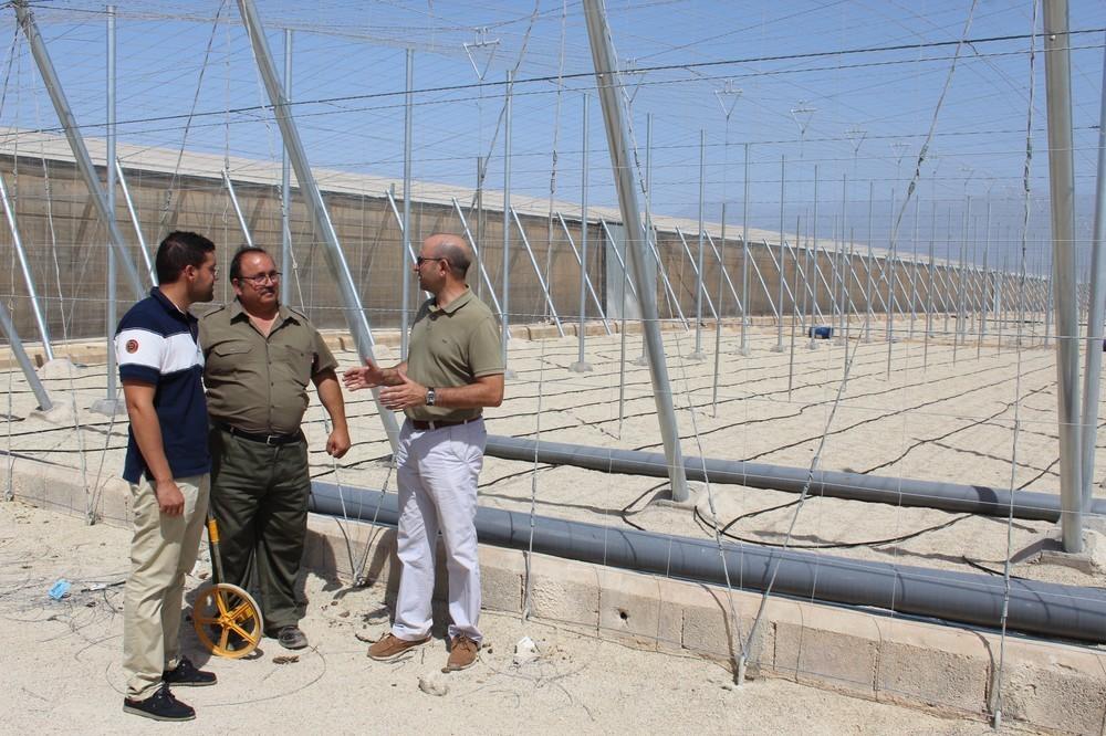 El Ayuntamiento de El Ejido cierra el año con 293 solicitudes para la reforma y nueva construcción de invernaderos