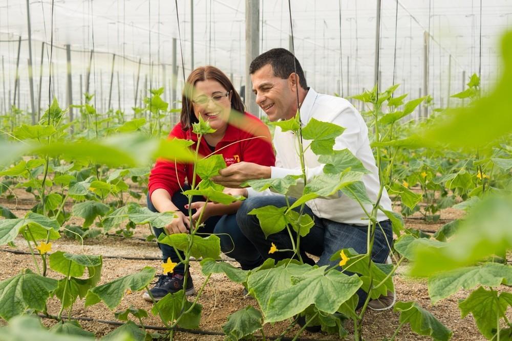 La Unión comienza 2017 con cuatro centros en Granada