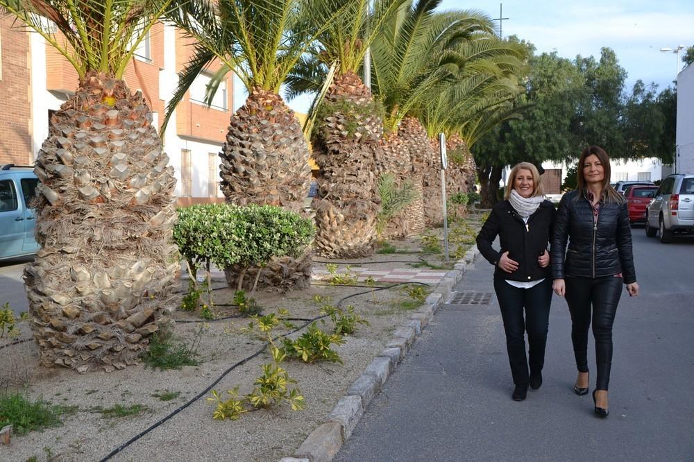 El Ayuntamiento renovará la mediana de la calle Marco Polo en Las Marinas