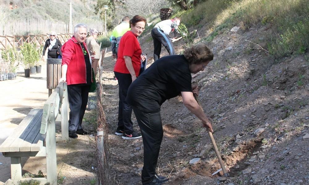 Abderitanos plantan más de 60 árboles con nombre de mujer gracias a la campaña ‘Sembrando Igualdad’