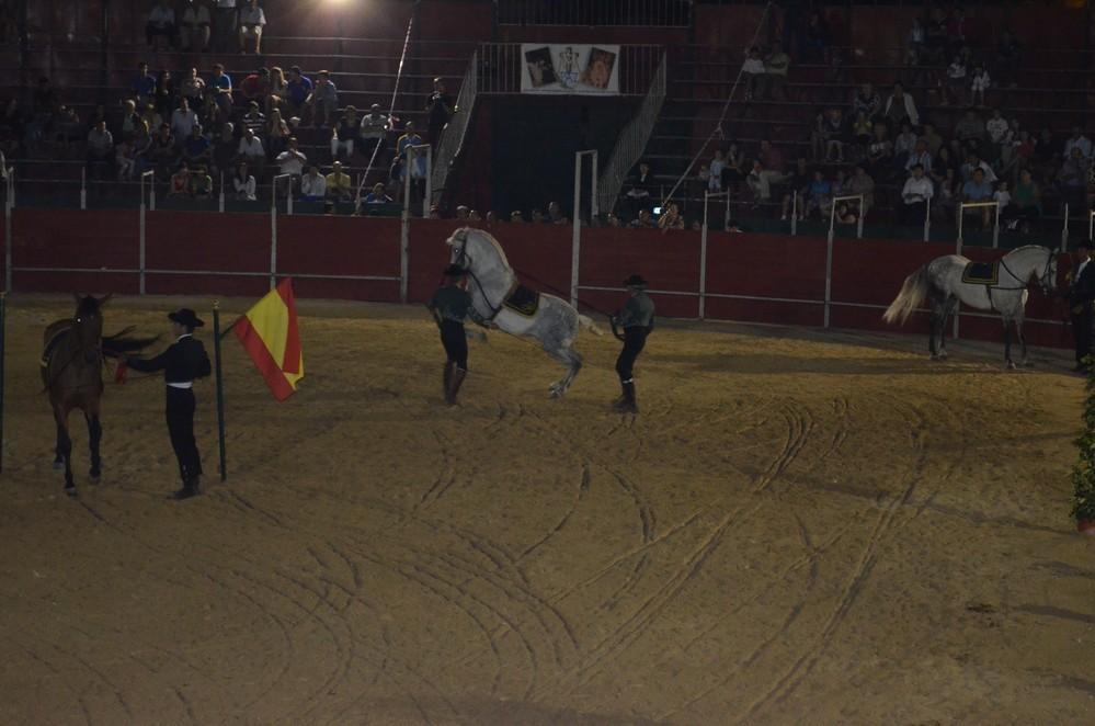 La Junta local de Santa María del Águila celebra este fin de semana el ‘Día del Caballo’ con una gran jornada de convivencia