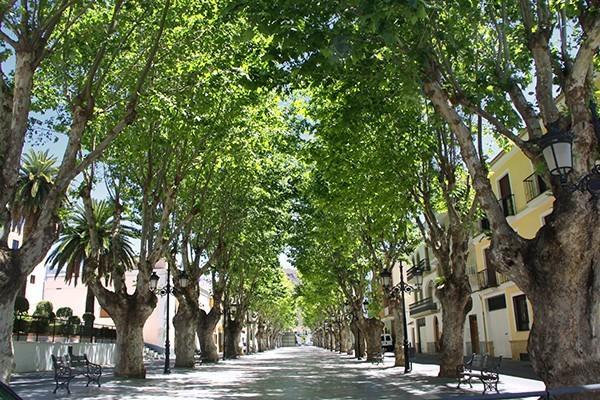 El Ayuntamiento de Berja realiza tareas de desratización en todo el municipio