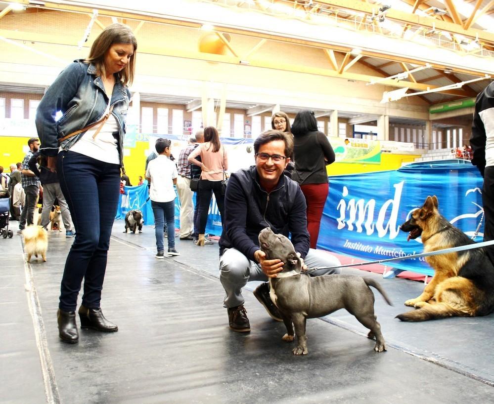 La V Exposición Canina Internacional convierte El Ejido en la capital mundial de la cinofilia