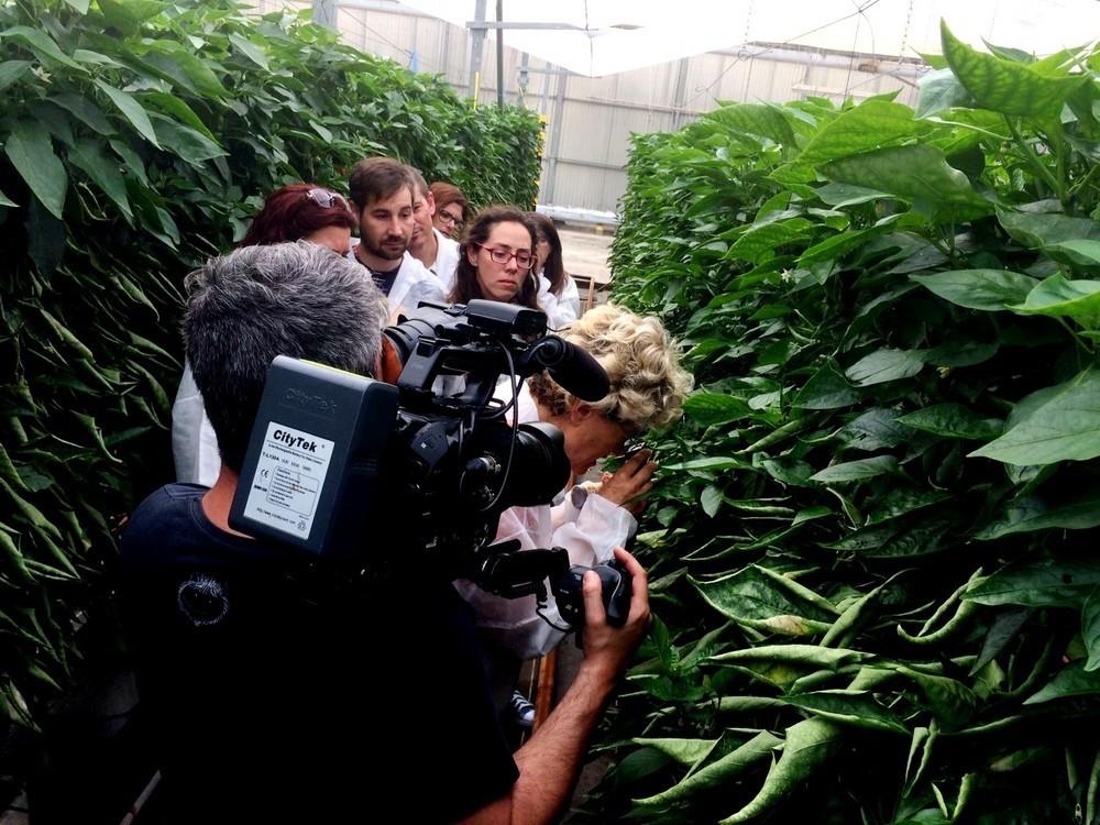 El programa ‘Destino Andalucía’ graba en El Ejido para proyectar la innovación de la agricultura y el fenómeno del agroturismo