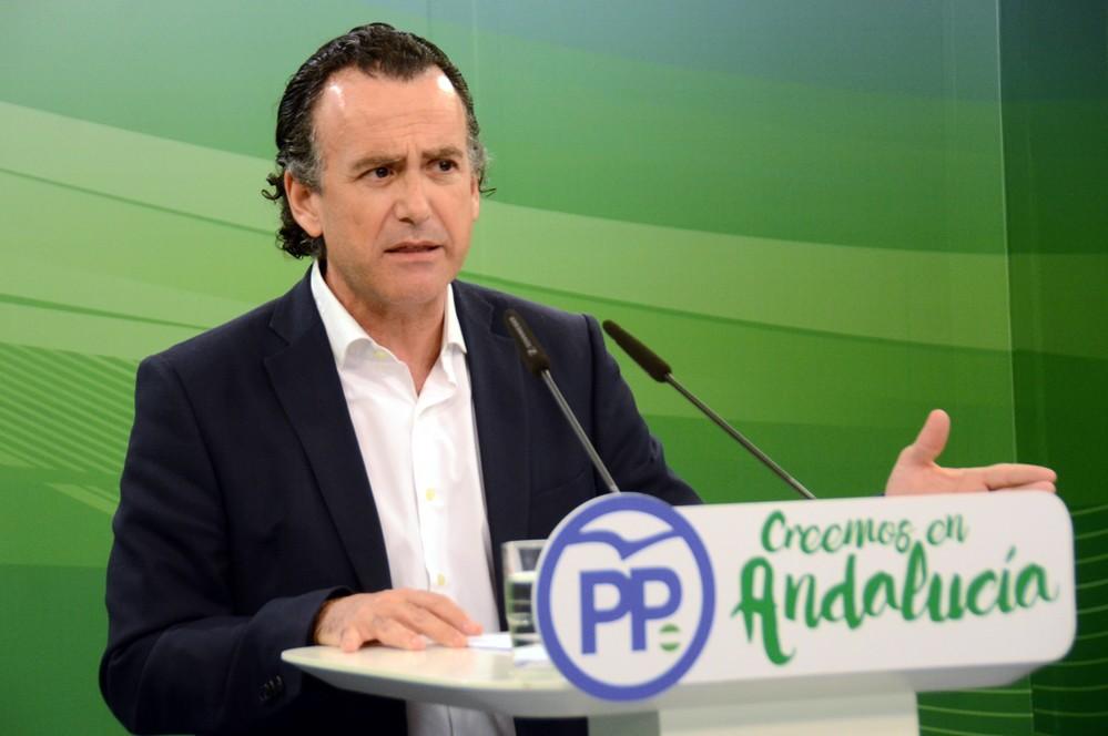 El PP pide a la Junta que ejecute y concluya las dos fases del río Adra para que el Gobierno de la Nación pueda acometer “en auxilio de la Junta” la reposición y adecuación del encauzamiento