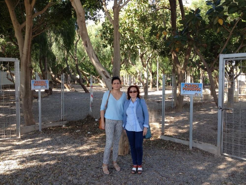 El PSOE de El Ejido considera que el registro de mascotas mediante ADN es una medida injusta