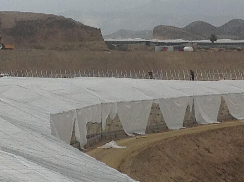 Las licencias para la modernización y mejora de invernaderos crecen en El Ejido en un 66% en lo que va de año