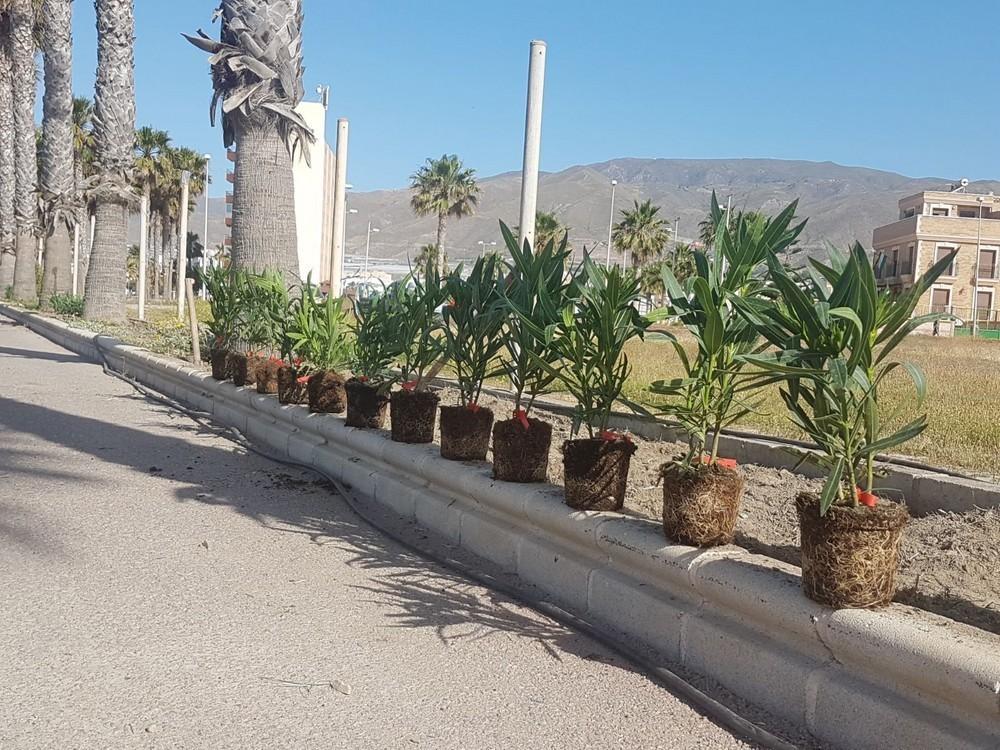 El Ayuntamiento de Adra activa un plan de mejora de los paseos marítimos de cara al verano