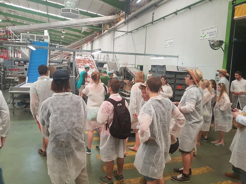 Estudiantes alemanes de 'Ciencias Aplicadas' conocen de primera mano el sistema agrícola y la variada oferta turística de El Ejido