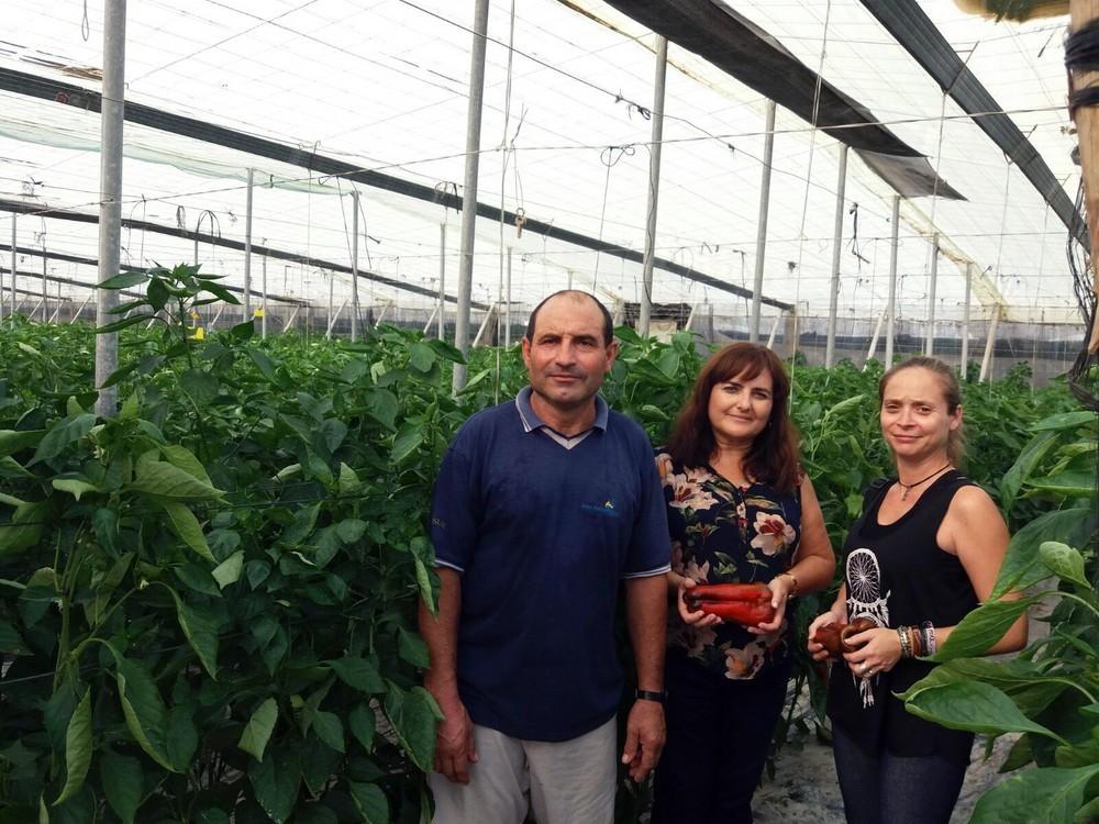 El PSOE de Berja impulsa la denominación de calidad del pimiento producido en el municipio