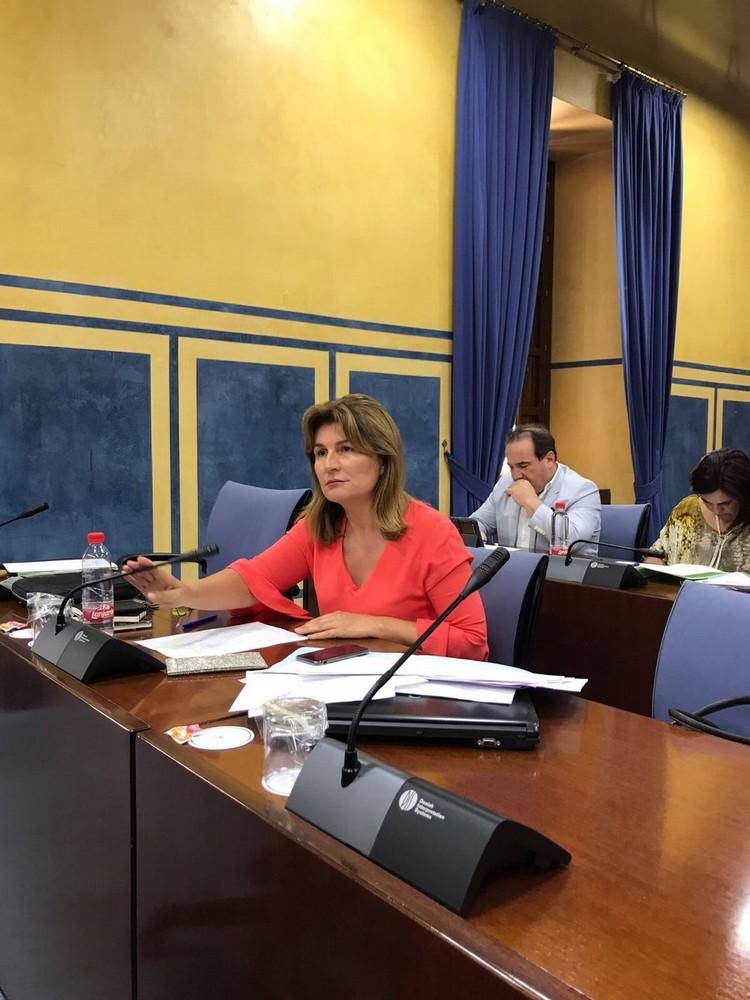 El Partido Popular logra que el Parlamento pida la creación del sexto juzgado de El Ejido