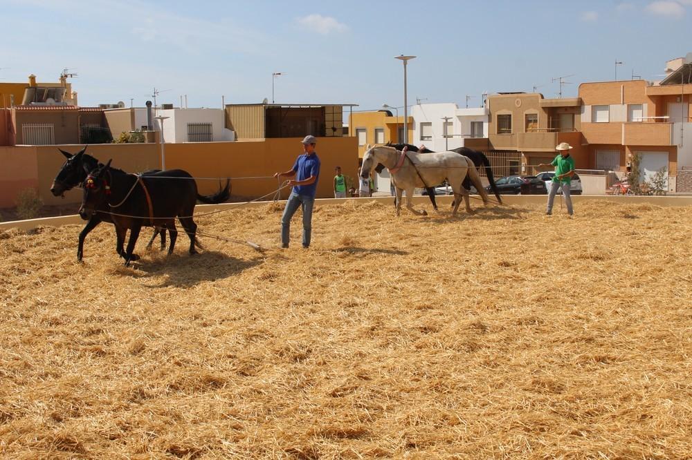 Santa María del Águila acoge este fin de semana la VII edición del Encuentro de Trilla con el que se pretende recuperar un arte ya desaparecido