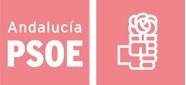 El PSOE de Adra denuncia irregularidades en el contrato de adaptación a las Normas Subsidiarias