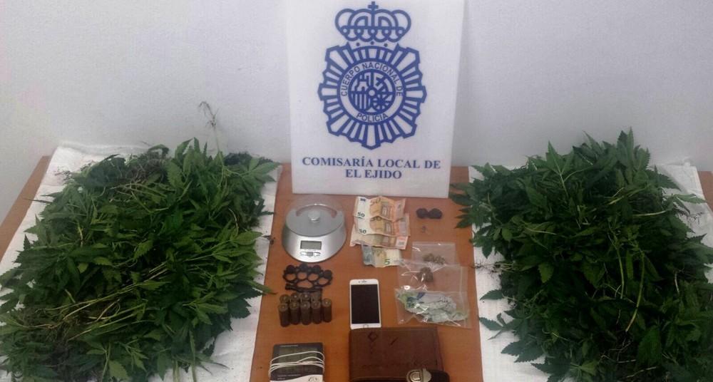 La Policía Nacional desarticula en El Ejido un clan familiar dedicado al cultivo de marihuana