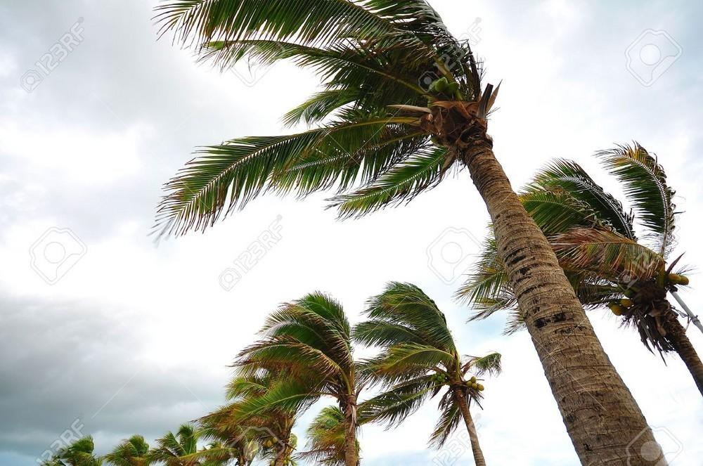 El Poniente almeriense se encuentra en alerta naranja por fuertes rachas de viento